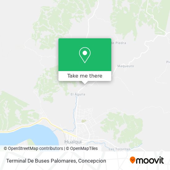 Terminal De Buses Palomares map