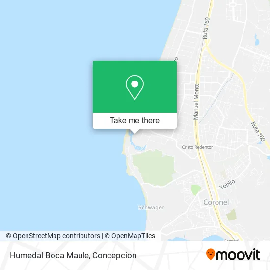 Mapa de Humedal Boca Maule