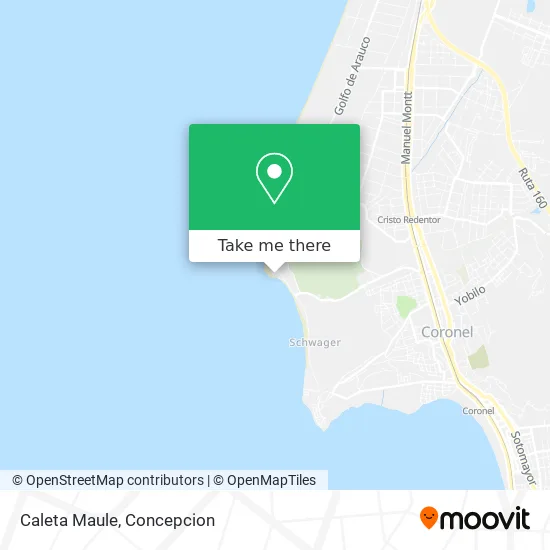 Caleta Maule map