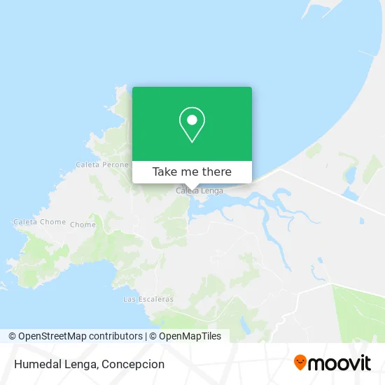 Mapa de Humedal Lenga