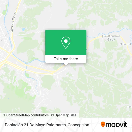 Mapa de Población 21 De Mayo Palomares