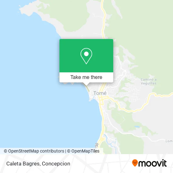 Mapa de Caleta Bagres