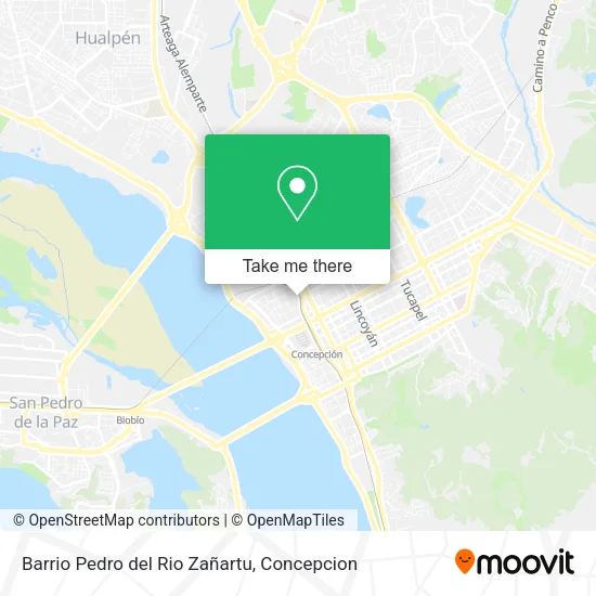 Mapa de Barrio Pedro del Rio Zañartu
