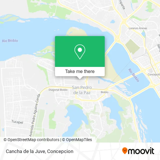 Cancha de la Juve map