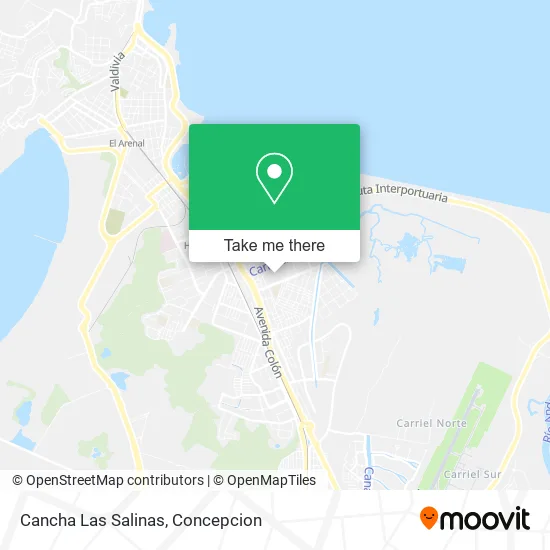Mapa de Cancha Las Salinas