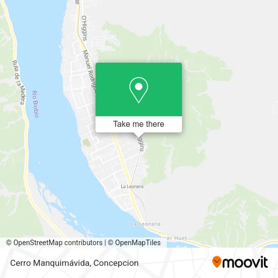 Mapa de Cerro Manquimávida