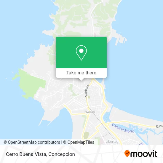 Mapa de Cerro Buena Vista