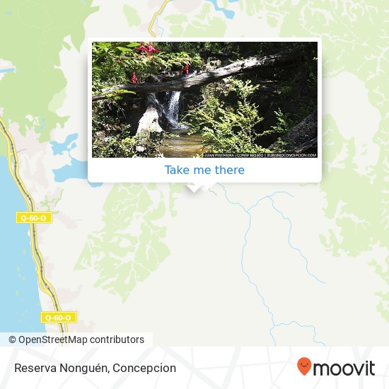 Reserva Nonguén map