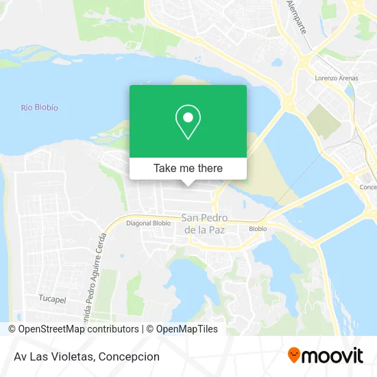 Mapa de Av Las Violetas