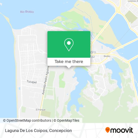 Mapa de Laguna De Los Coipos