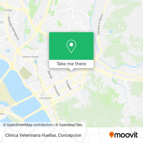 Clínica Veterinaria Huellas map