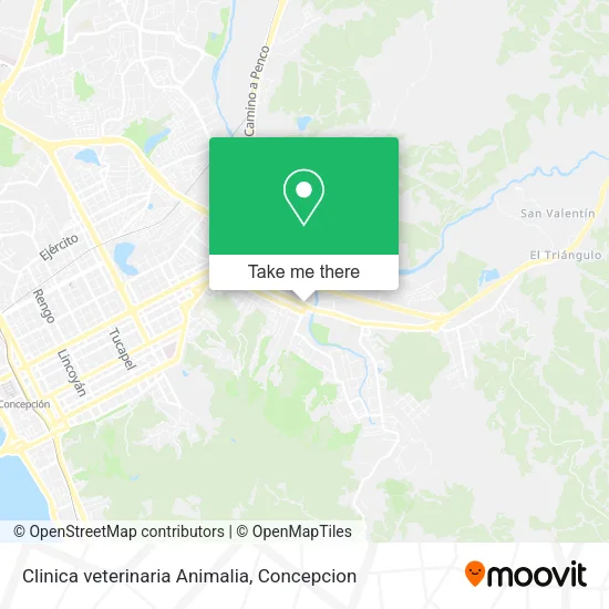 Clinica veterinaria Animalia map
