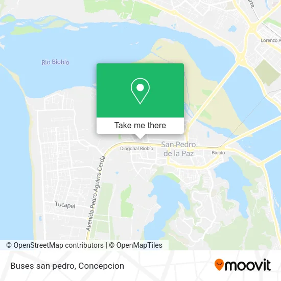 Mapa de Buses san pedro