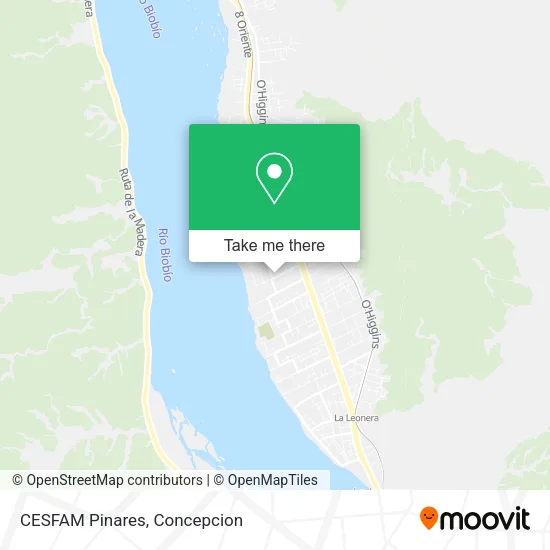 Mapa de CESFAM Pinares