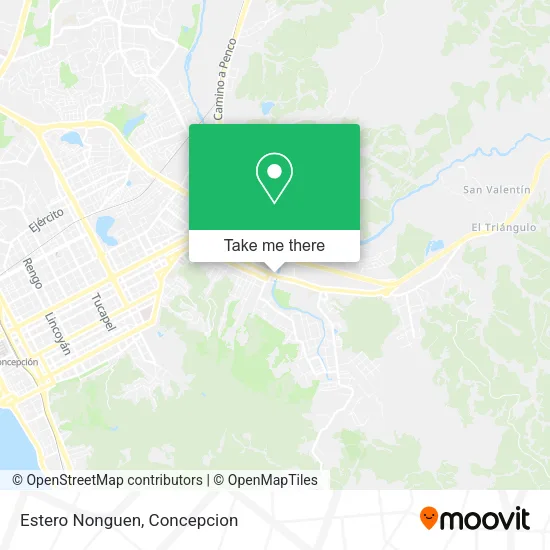 Mapa de Estero Nonguen