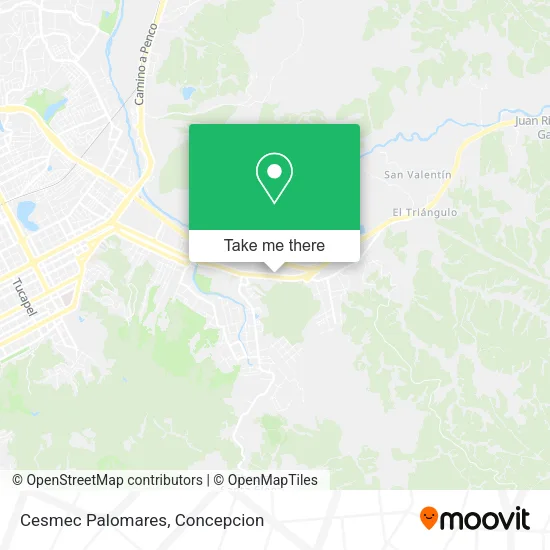 Mapa de Cesmec Palomares