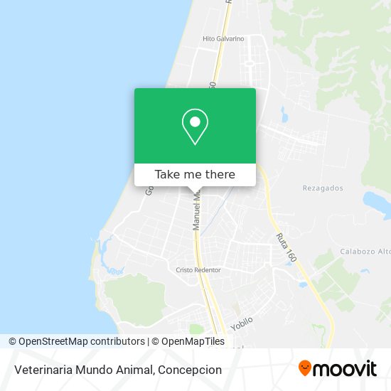 Veterinaria Mundo Animal map