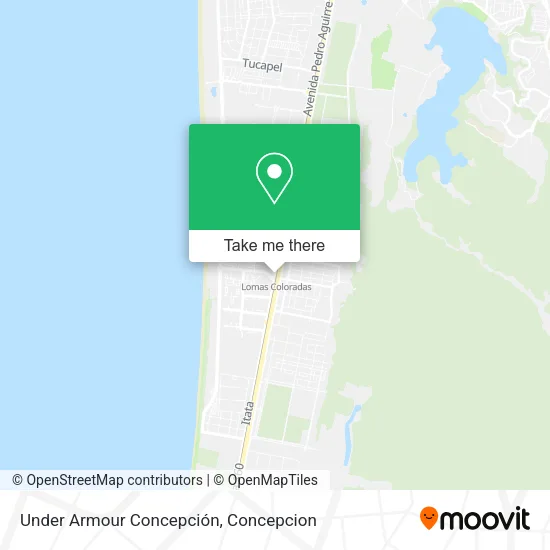 Mapa de Under Armour Concepción