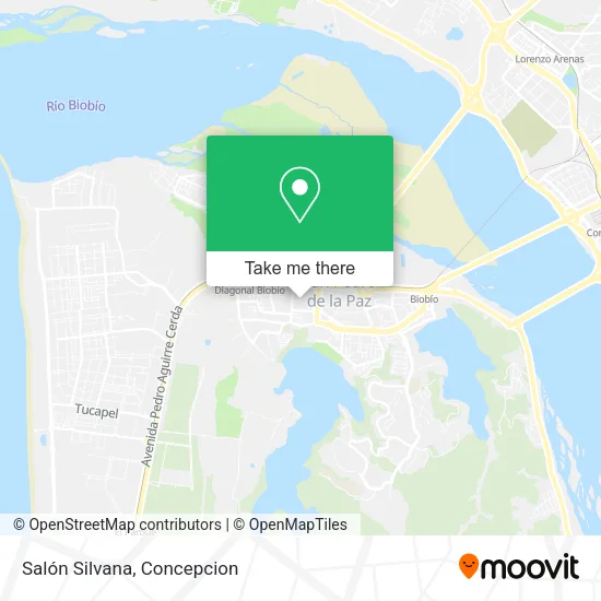 Mapa de Salón Silvana