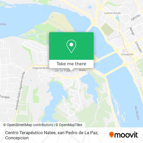 Centro Terapéutico Natee, san Pedro de La Paz map