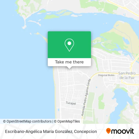 Escribano-Angélica María González map