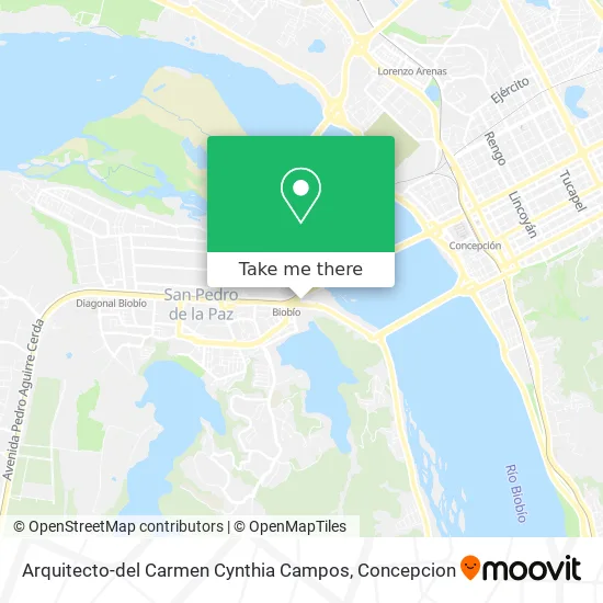 Mapa de Arquitecto-del Carmen Cynthia Campos