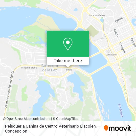 Peluquería Canina de Centro Veterinario Llacolen map