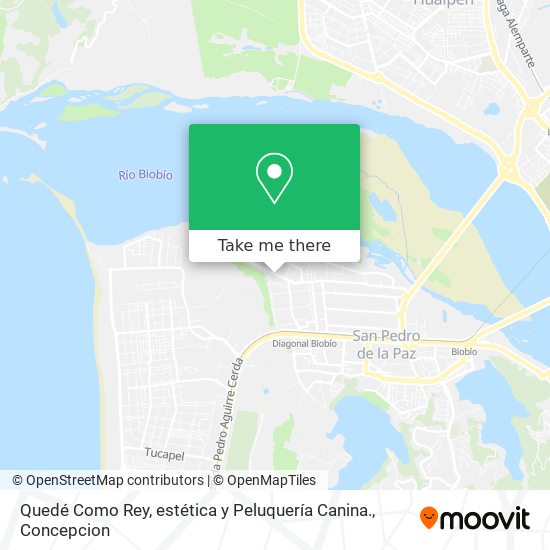 Quedé Como Rey, estética y Peluquería Canina. map