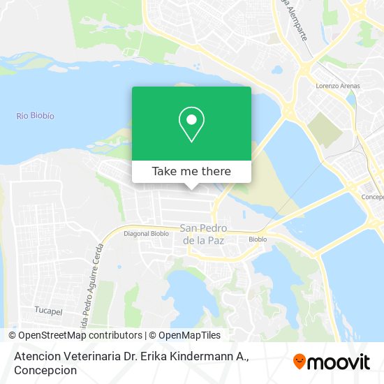 Atencion Veterinaria Dr. Erika Kindermann A. map