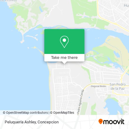 Mapa de Peluquería Ashley