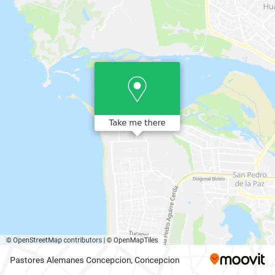 Pastores Alemanes Concepcion map