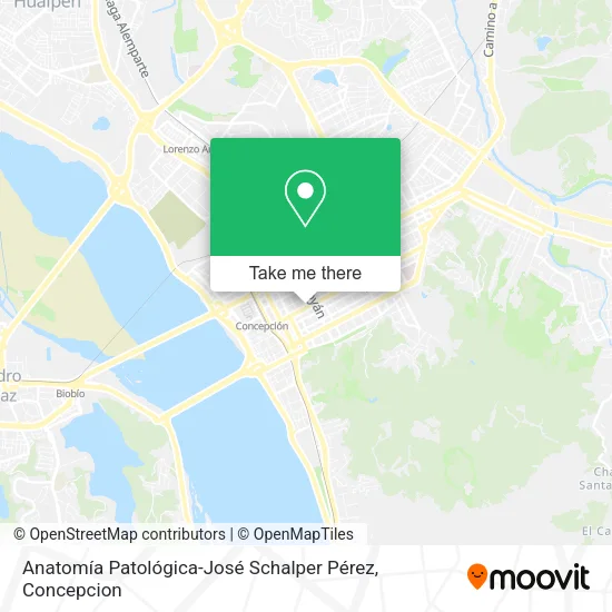 Mapa de Anatomía Patológica-José Schalper Pérez