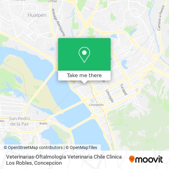 Veterinarias-Oftalmologia Veterinaria Chile Clinica Los Robles map