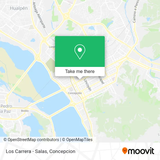 Los Carrera - Salas map