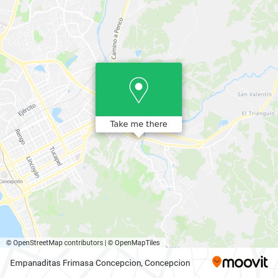 Empanaditas Frimasa Concepcion map