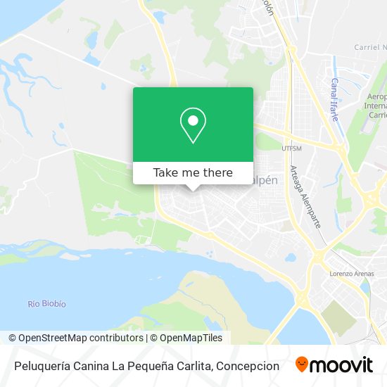 Peluquería Canina La Pequeña Carlita map