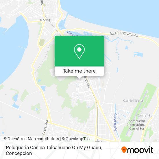 Peluqueria Canina Talcahuano Oh My Guauu map