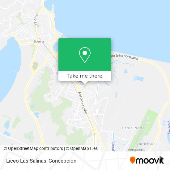 Mapa de Liceo Las Salinas