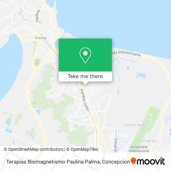 Terapias Biomagnetismo Paulina Palma map