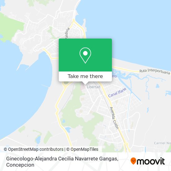 Ginecologo-Alejandra Cecilia Navarrete Gangas map