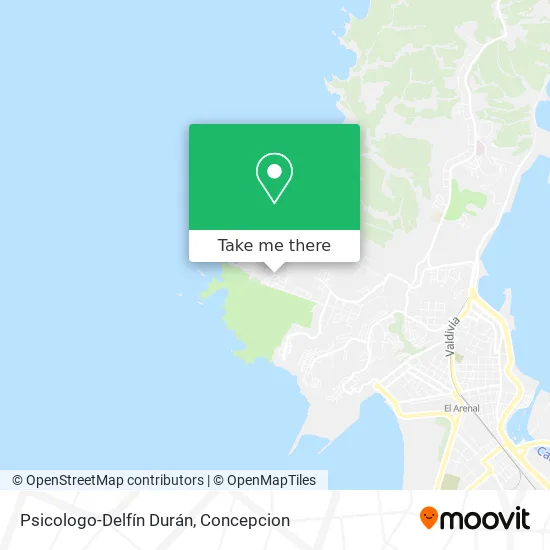 Psicologo-Delfín Durán map