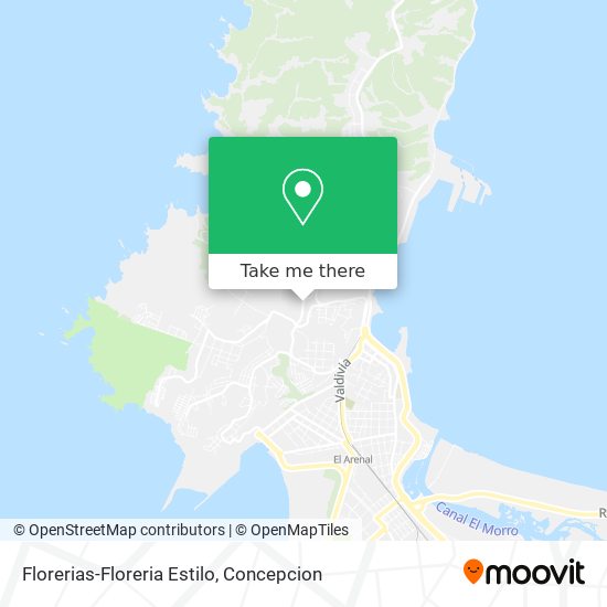 Florerias-Floreria Estilo map