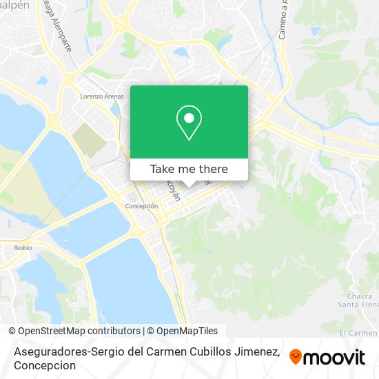 Mapa de Aseguradores-Sergio del Carmen Cubillos Jimenez