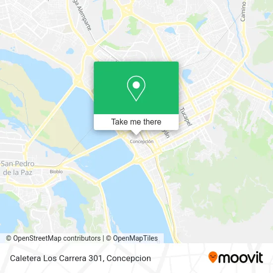 Mapa de Caletera Los Carrera 301