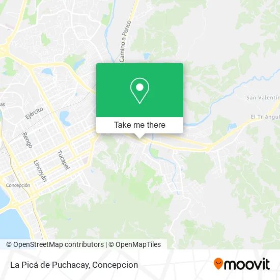 Mapa de La Picá de Puchacay