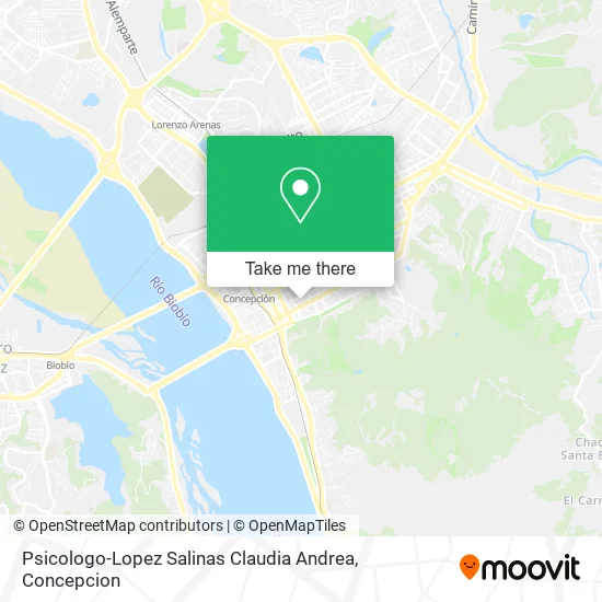 Psicologo-Lopez Salinas Claudia Andrea map