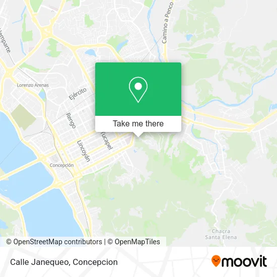 Mapa de Calle Janequeo