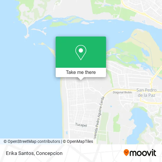 Erika Santos map