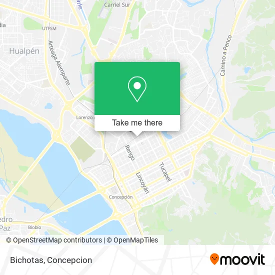 Bichotas map