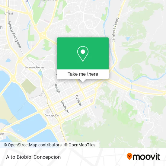 Alto Biobío map